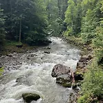 Allgaeu Mit Schwimmbad Und Sauna דירה