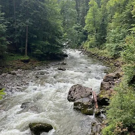Allgaeu Mit Schwimmbad Und Sauna Appartamento