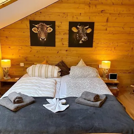 Allgaeu Mit Schwimmbad Und Sauna 公寓 *