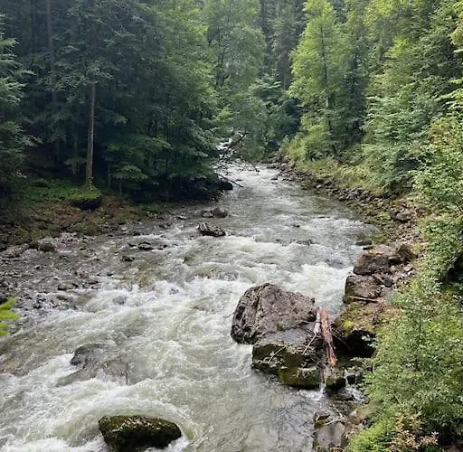 Allgäu Mit Schwimmbad Und Sauna Apartment